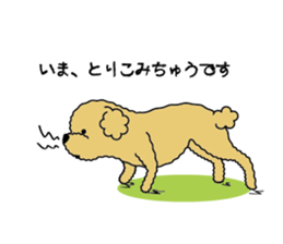 My Toy Poodle vol.1 sticker #4589842