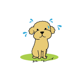 My Toy Poodle vol.1 sticker #4589845