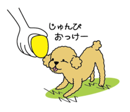 My Toy Poodle vol.1 sticker #4589849