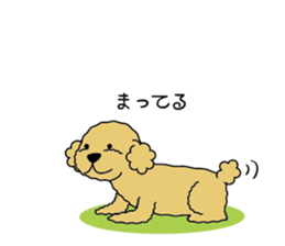 My Toy Poodle vol.1 sticker #4589850