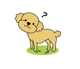 My Toy Poodle vol.1 sticker #4589853