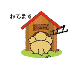 My Toy Poodle vol.1 sticker #4589858