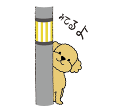 My Toy Poodle vol.1 sticker #4589859