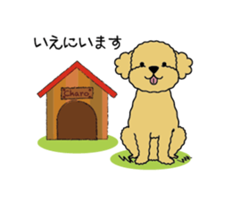 My Toy Poodle vol.1 sticker #4589864