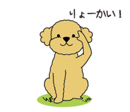 My Toy Poodle vol.1 sticker #4589868