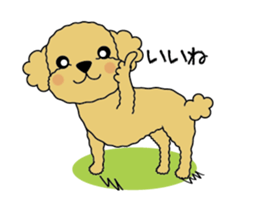 My Toy Poodle vol.1 sticker #4589869