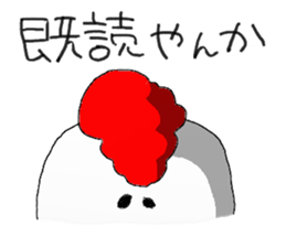 crazy chicken guy sticker #4591532