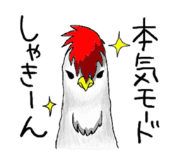 crazy chicken guy sticker #4591546