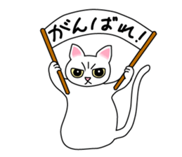 Balloon cat Apricot sticker #4591609