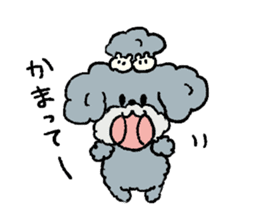 Dalmatian and Toy Poodle sticker #4594088