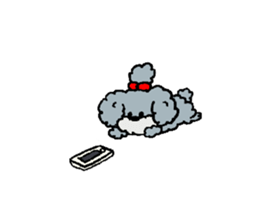 Dalmatian and Toy Poodle sticker #4594097