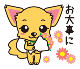 Cute Chihuahua Honorific Stickers sticker #4594180