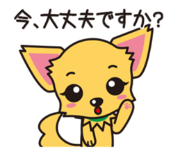 Cute Chihuahua Honorific Stickers sticker #4594183