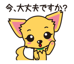 Cute Chihuahua Honorific Stickers sticker #4594183