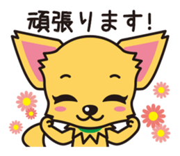 Cute Chihuahua Honorific Stickers sticker #4594186