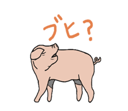 Cute pig? or ugly pig? sticker #4594719