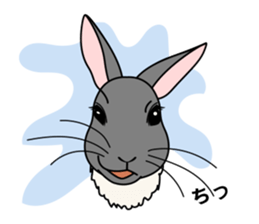 Friends of farm sticker #4595833