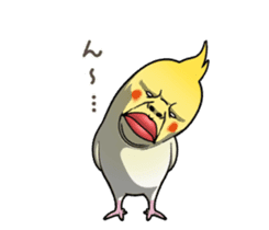 ugly cockatiel sticker sticker #4596773