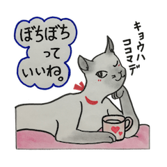 We love cats!!