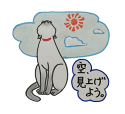 We love cats!! sticker #4598861