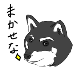 Black Shiba -Ku- sticker #4601204