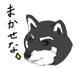 Black Shiba -Ku- sticker #4601204
