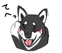 Black Shiba -Ku- sticker #4601205