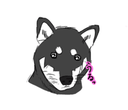 Black Shiba -Ku- sticker #4601209