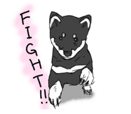 Black Shiba -Ku- sticker #4601221