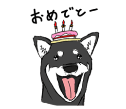 Black Shiba -Ku- sticker #4601226