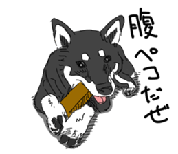Black Shiba -Ku- sticker #4601239