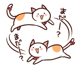 The cat I want to play sticker #4604381