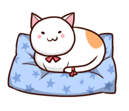 The cat I want to play sticker #4604387