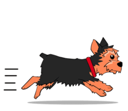 I ! Love ! Yorkie ! sticker #4607342