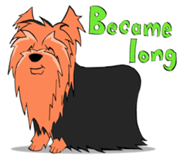 I ! Love ! Yorkie ! sticker #4607346