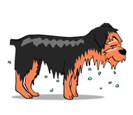 I ! Love ! Yorkie ! sticker #4607349