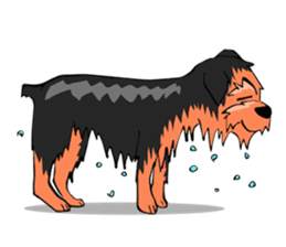 I ! Love ! Yorkie ! sticker #4607349