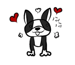 Funny Boston Terrier sticker #4610600