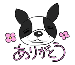Funny Boston Terrier sticker #4610602