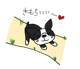 Funny Boston Terrier sticker #4610605