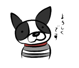 Funny Boston Terrier sticker #4610606