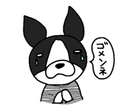 Funny Boston Terrier sticker #4610609