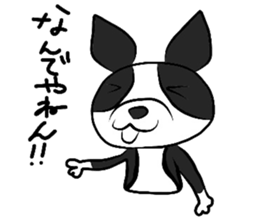 Funny Boston Terrier sticker #4610612