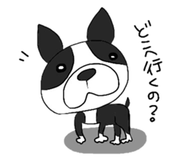 Funny Boston Terrier sticker #4610614