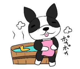 Funny Boston Terrier sticker #4610615