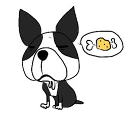 Funny Boston Terrier sticker #4610616