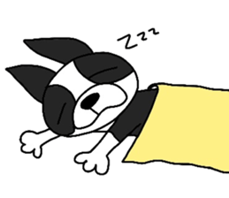 Funny Boston Terrier sticker #4610617