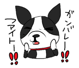 Funny Boston Terrier sticker #4610622