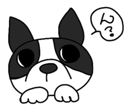 Funny Boston Terrier sticker #4610625