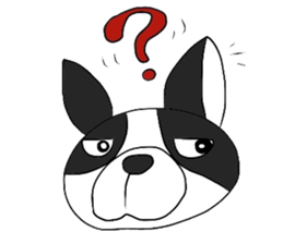 Funny Boston Terrier sticker #4610629